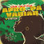 Cover Afro Pa Variar