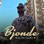 Cover Altin Sulku - Bjonde