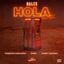 Cover Hola (Remix)