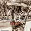 Cover Marco Verratti