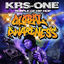 Cover Temple Of Hip Hop Global Awareness