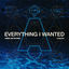 Cover Everything I Wanted