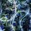 Cover ninelie EP