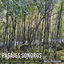 Cover Pasajes Sonoros, Instant Composition / Saxophone Solo