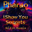 Cover I Show You Secrets (DJ T.H. Remix)
