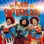 Cover Het Feest van Sinterklaas