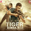 Cover Tiger Zinda Hai
