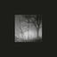 Cover Stille
