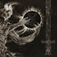 Cover Vengeful Ascension