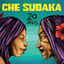 Cover 20 Años