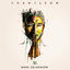 Cover Chameleon