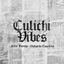 Cover Culichi Vibes