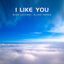 Cover I Like You
