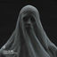 Cover Parasomnia