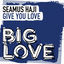 Cover Give You Love