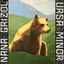 Cover Ursa Minor