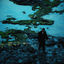 Cover Anlamazsın