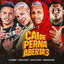 Cover Cai de Perna Aberta 3