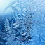 Cover DENDRITE