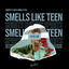 Cover Smells Like Teen Spirit
