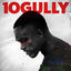 Cover 10 Gully
