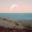 Cover An Overview on Phenomenal Nature