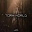 Cover Torn World