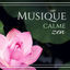 Cover Musique calme zen - Musique d'ambiance très douce pour détente et relaxation