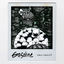 Cover Gasoline