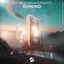 Cover Domino