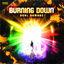 Cover Burning Down
