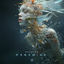 Cover Paradise