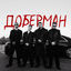 Cover Доберман