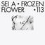 Cover Frozen Flower