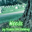 Cover Weeds
