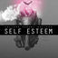 Cover Self Esteem / Basket Case