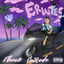 Cover ERWTES