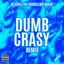 Cover Dumb Crasy (Remix)