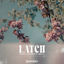 Cover Latch