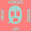 Cover Voices Inside My Head