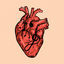 Cover Musika