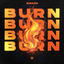 Cover Burn