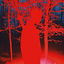 Cover Crystal Castle