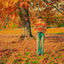 Cover September Sun