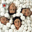 Cover Isopor