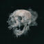 Cover Skeletonise EP