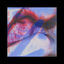 Cover ITCH