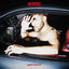 Cover AUTOPILOT