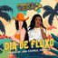 Cover Dia de Fluxo