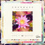 Cover Don't Matter (feat. Darianna Everett) - EP